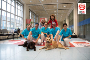 forasmiledentalschool-36